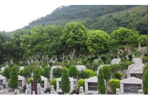 南山上公墓陵园服务